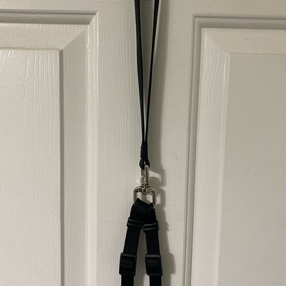 Double Pet Leash for Double the Walking Fun! - Picture 3 of 7